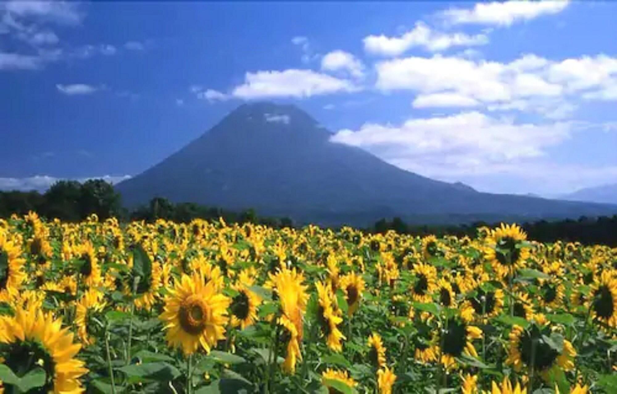 Niseko Prince Hotel Hirafutei Luaran gambar