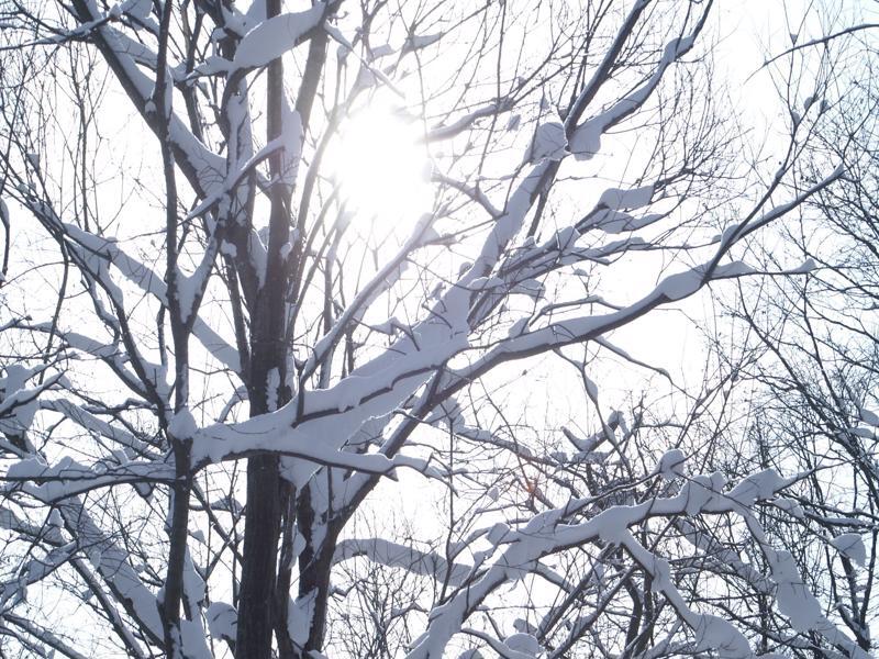 Niseko Prince Hotel Hirafutei Luaran gambar